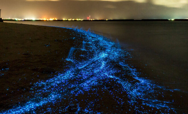 The World's Most Surreal Natural Phenomena Are Finally Explained