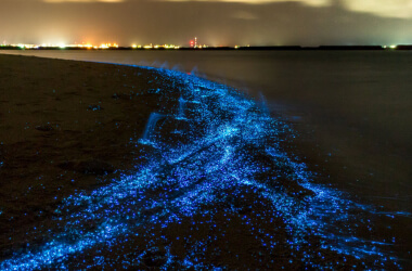 50つの世界で起こった最もシュールな自然現象