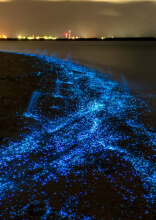 50 Des Phénomènes Naturels Les Plus Surréalistes Au Monde Enfin Expliqués