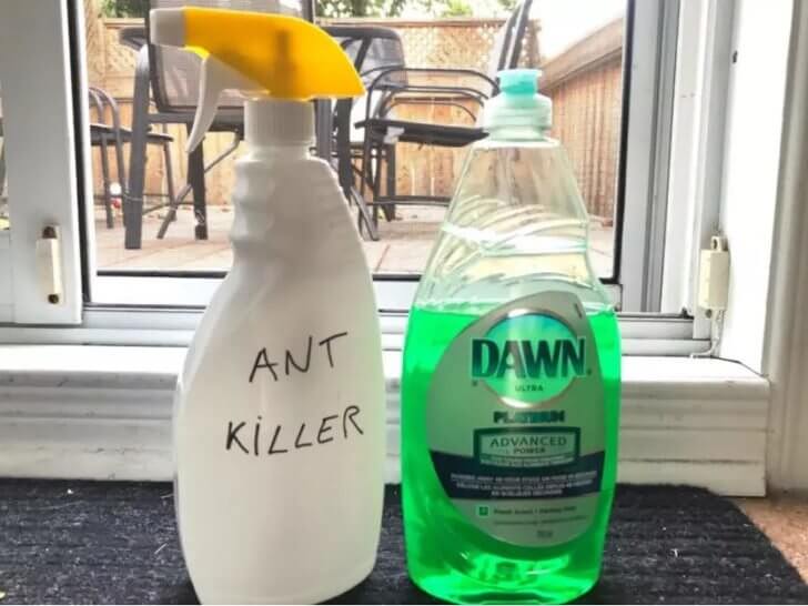 Exterminating Ants