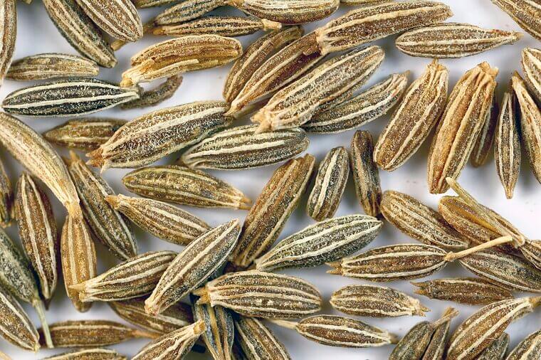 Cumin: The Smoky Seed for Iron and Enzyme Support