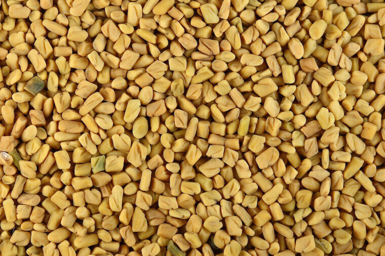 Fenugreek Seeds: The Maple-Scented Blood Sugar Regulator