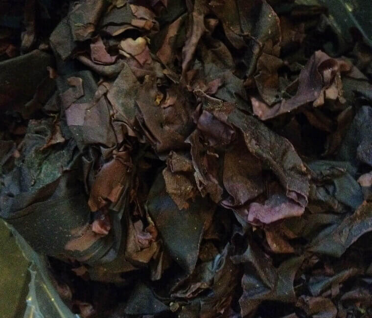 Nutritional Dulse: The Seaweed for Thyroid-Boosting Iodine