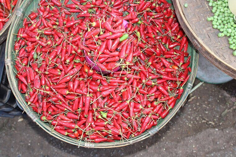 Cayenne Pepper: The Fiery Kick for Thermogenic Fat Burning