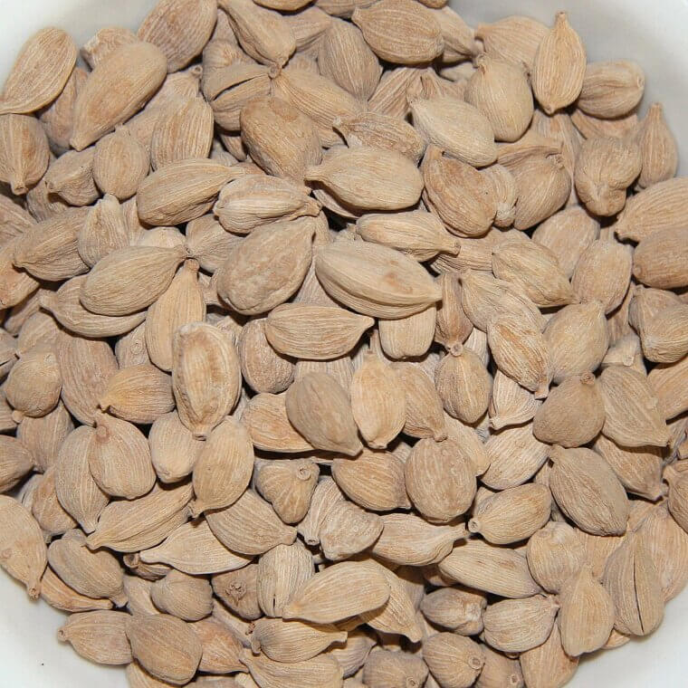 Cardamom: The Fragrant Pod for Bloat-Free Digestion