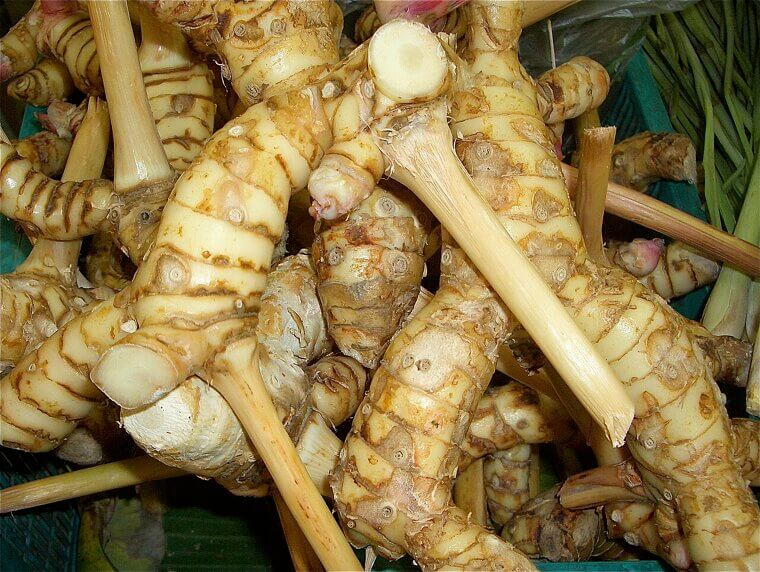 Galangal: The "Thai Ginger" for Anti-Aging and Circulation