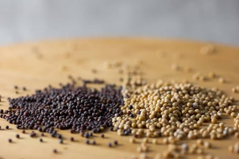 Mustard Seeds: The Small Grains for Selenium and Myrosinase
