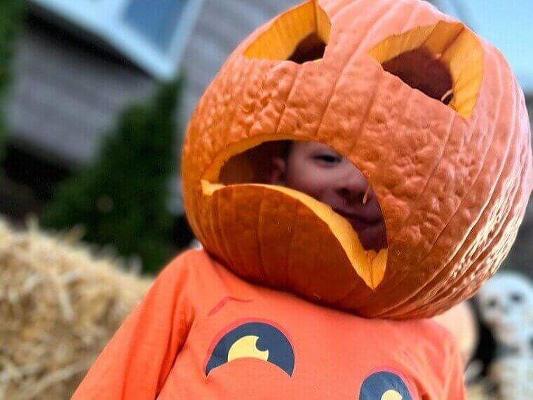 Little Pumpkin Cutie