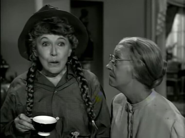 "The Beverly Hillbillies" - Country Humor and Culture Clash