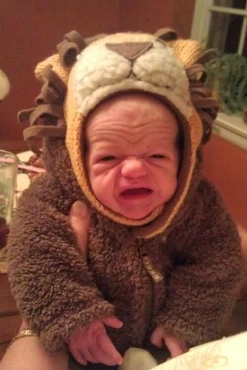 A-Roar-Able