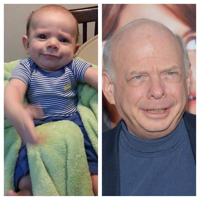 Mini Vizzini