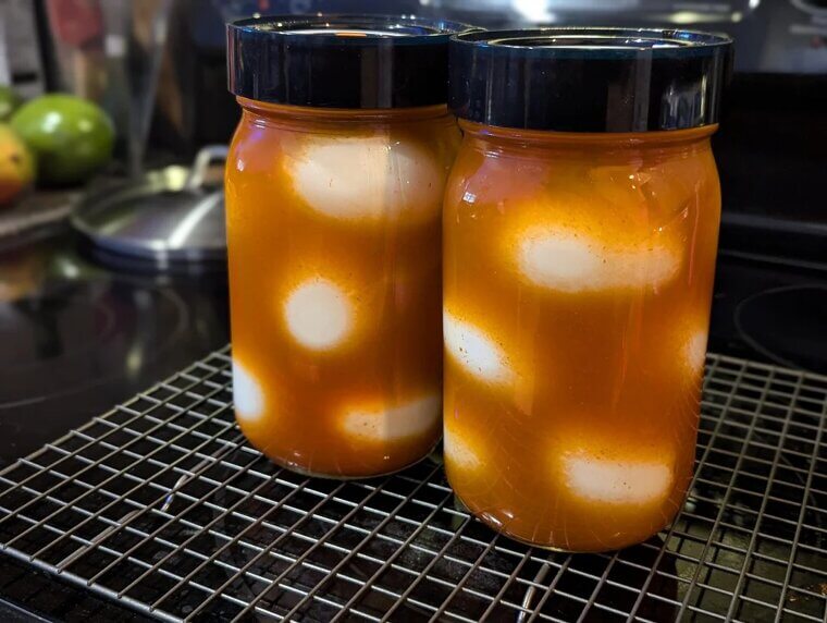 Pickled Eggs