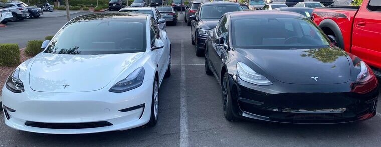 The Political Fallout of Elon Musk