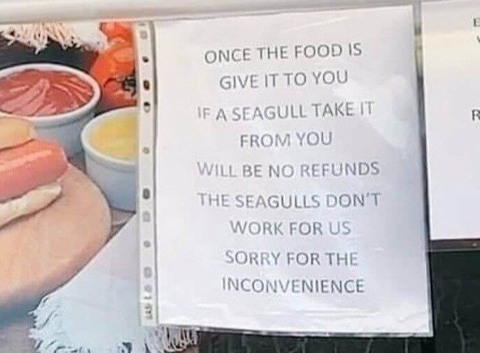 Our Favorite Part Is "the Seagulls Don't Work for Us"