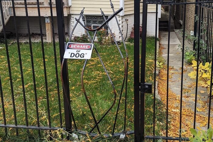 Beware of the Phantom Dog