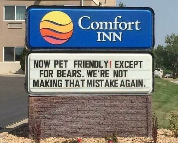 No Bears Allowed at the Comfort Inn