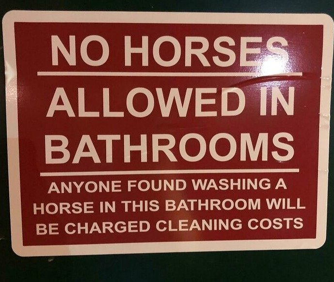 There's No Horsing Around in This Bathroom