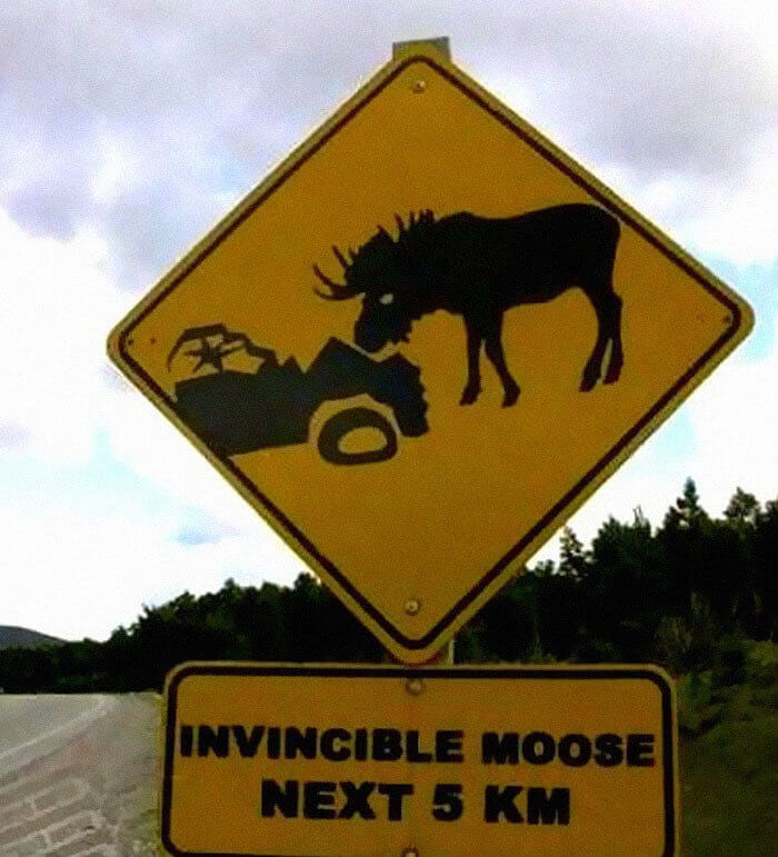 Caution: This Is Invincible Moose Territory