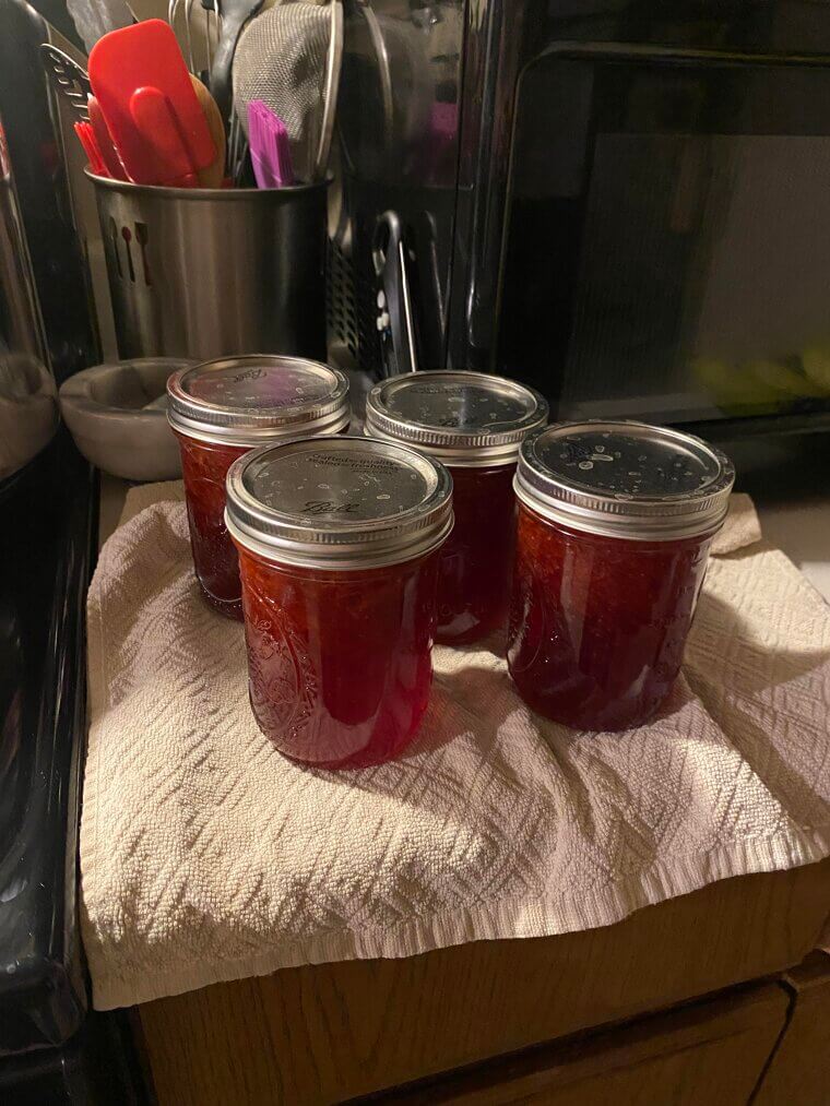 The 2010 "Social Media" Strawberry Jam