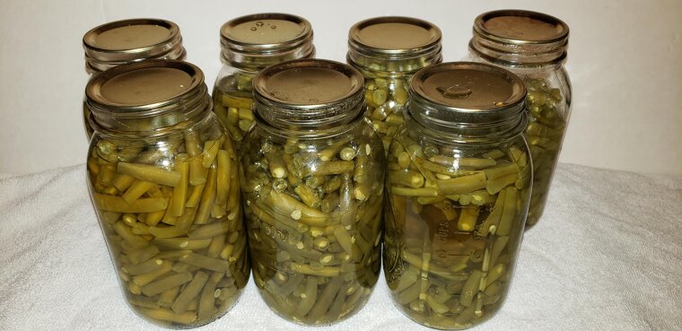 Canning and Preserving Food