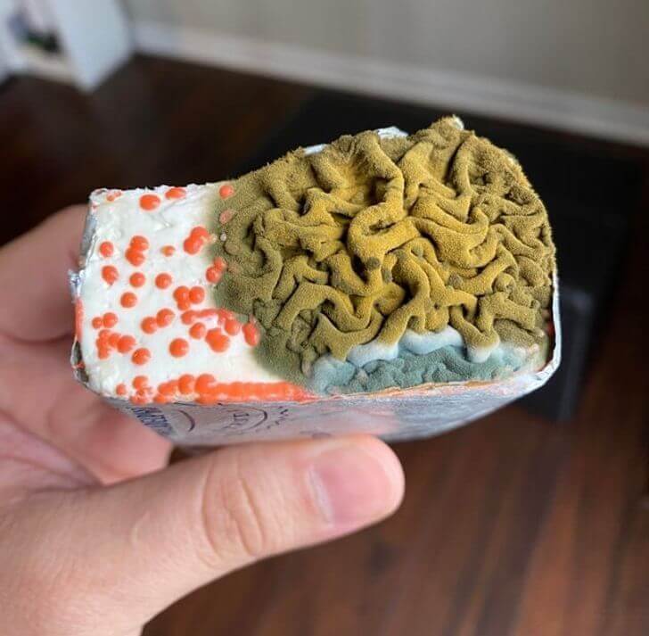 Extra Topping Of Mold On The Cream Cheese