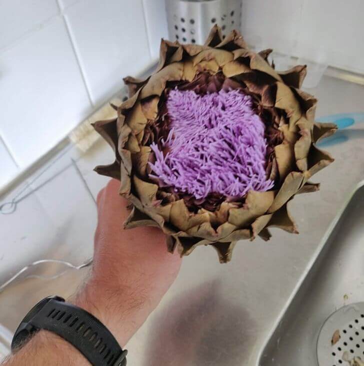 Life Finds A Way