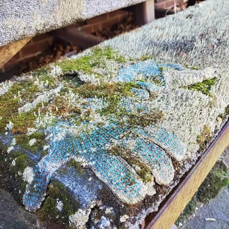 Nature Taking Back What Rightfully Belongs To It
