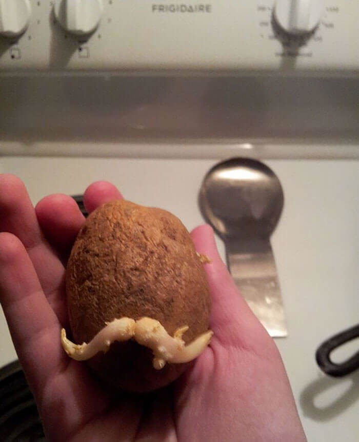 Anyone Up For Pringles?