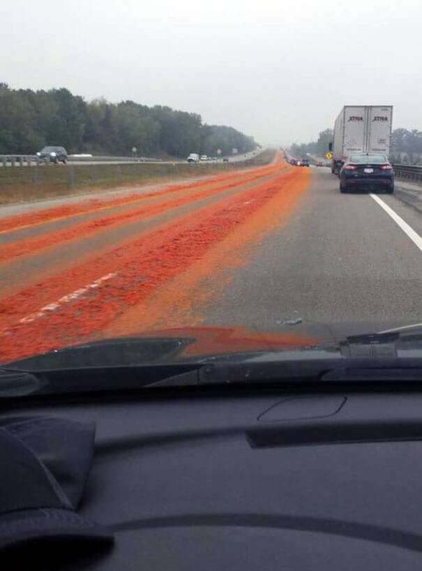 That's A Lot Of Roadkill... Or Is It?