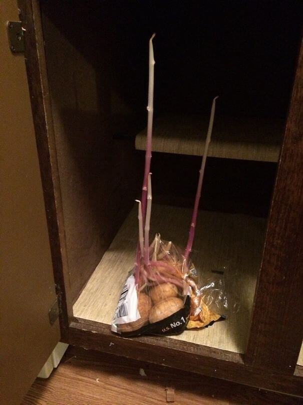 Time To Grow More Potatoes