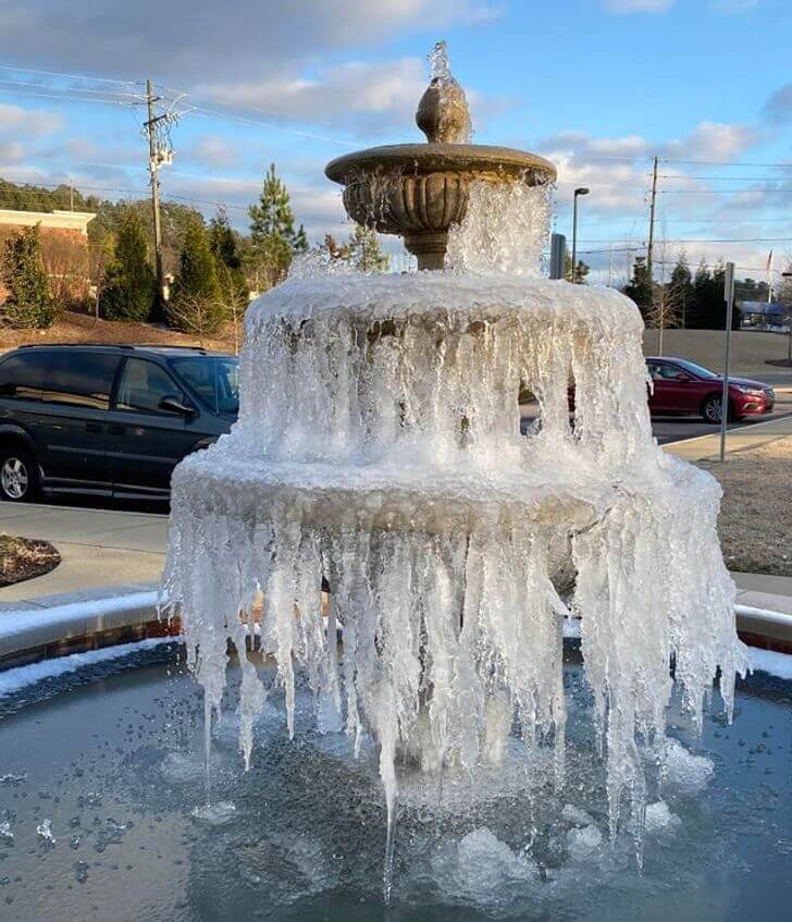 Someone Must've Yelled "Freeze"
