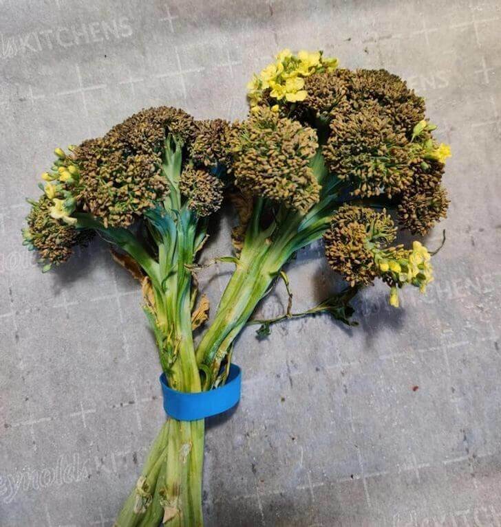 Ah, The Bacon Of The Vegetable World