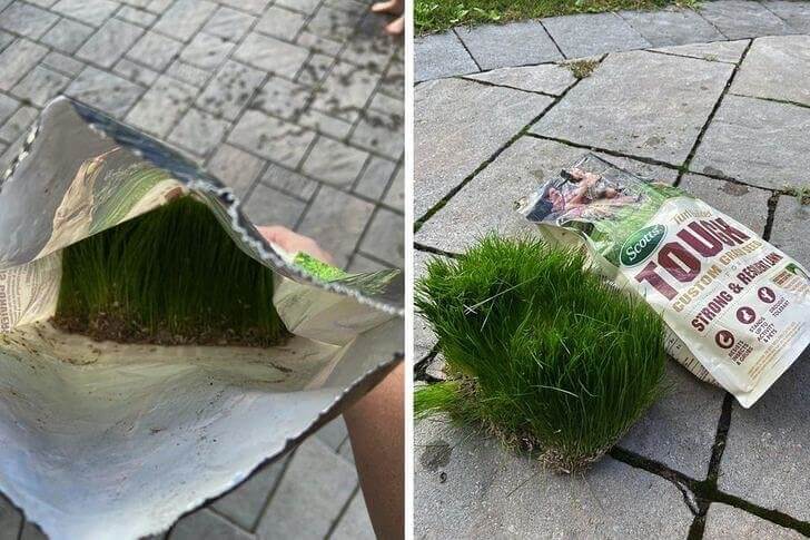 Keep Off The Grass