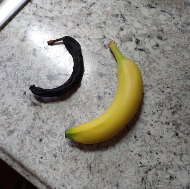A Mummified Banana