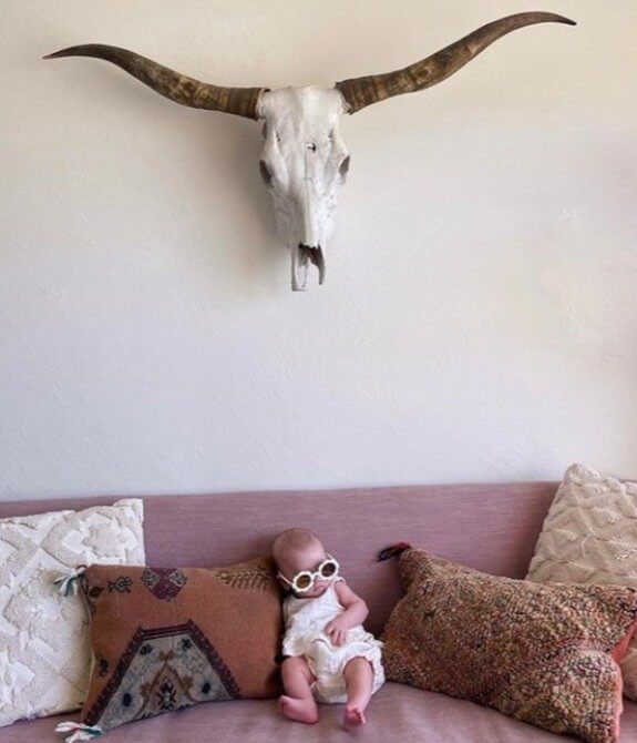 Animal Skulls Are Not the Most Enticing Decor Items