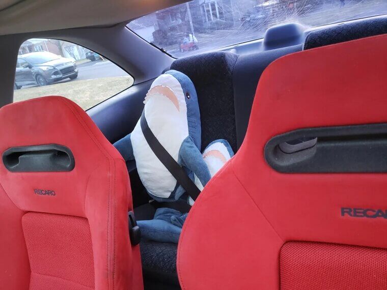 Driving Without Seat Belts