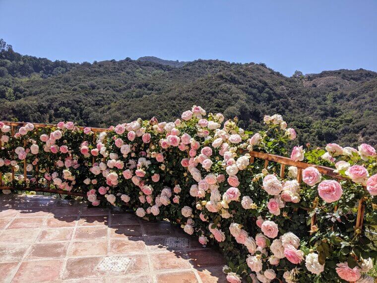 Landscaping for Security
