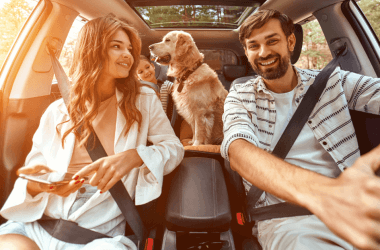 Você pode fazer uma organização incrível do carro que tornará sua vida muito mais conveniente