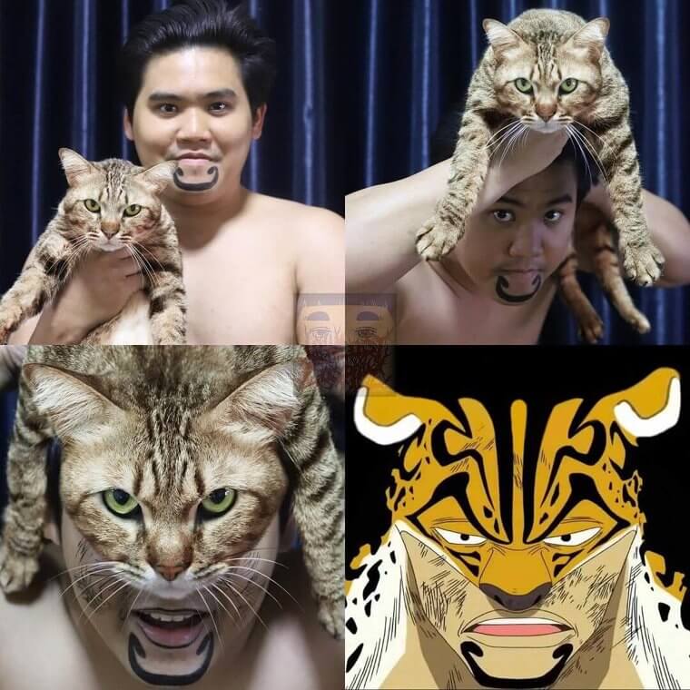 Cat Or Tiger? We Can't Tell For Sure