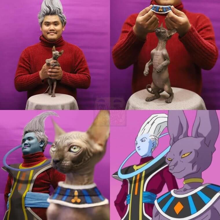 Beerus Cosplay