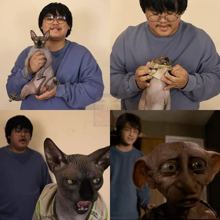 Harry Potter After Quarantine