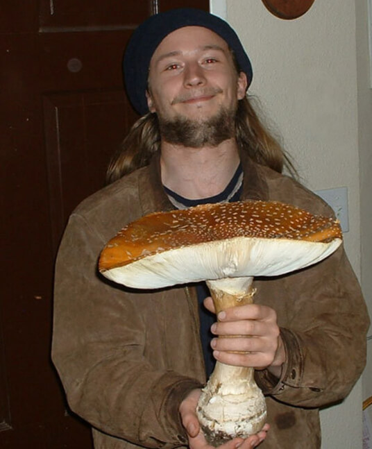 There Once Were Giant Mushrooms as Tall as Buildings