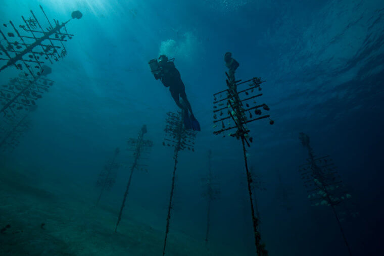 This Awful Material Is Everywhere And Nobody Can Avoid It