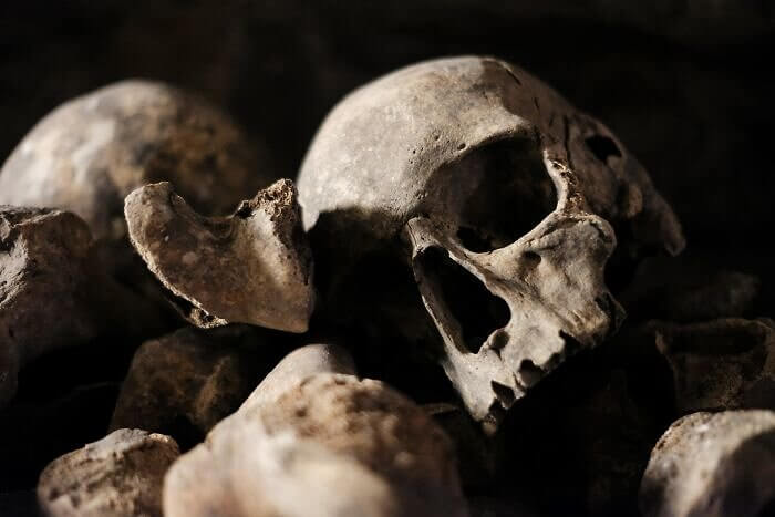 Body Decomposition Takes Much Longer Than We Thought