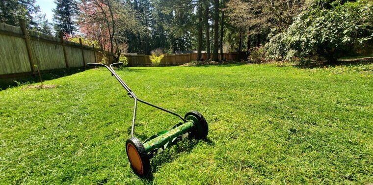 Push-Reel Lawn Mowers