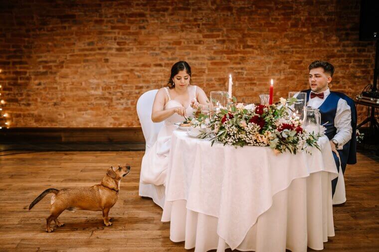 Including Pets in the Wedding Party