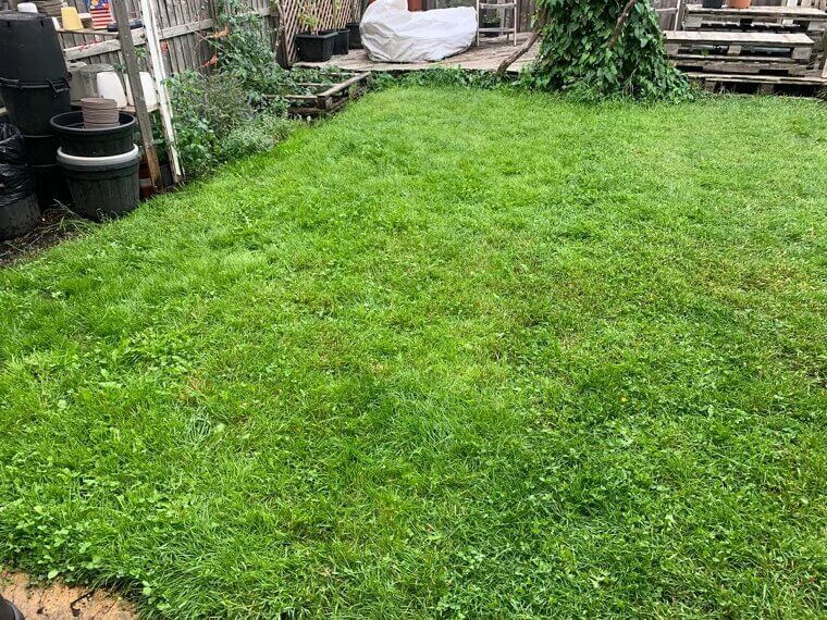 You Are Overwatering Without Realizing It