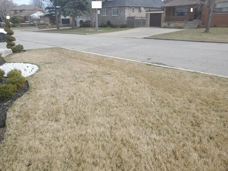 You Are Ignoring Fertilizer Timing