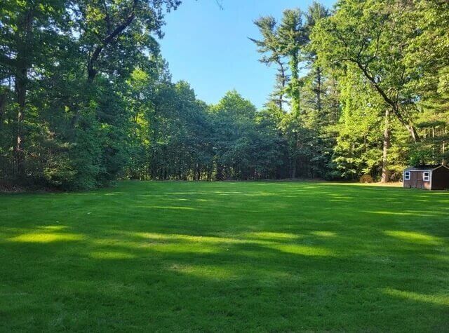 You Are Skipping Regular Feeding