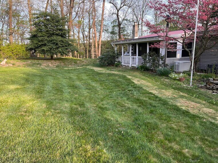 You Are Cutting the Grass Too Short